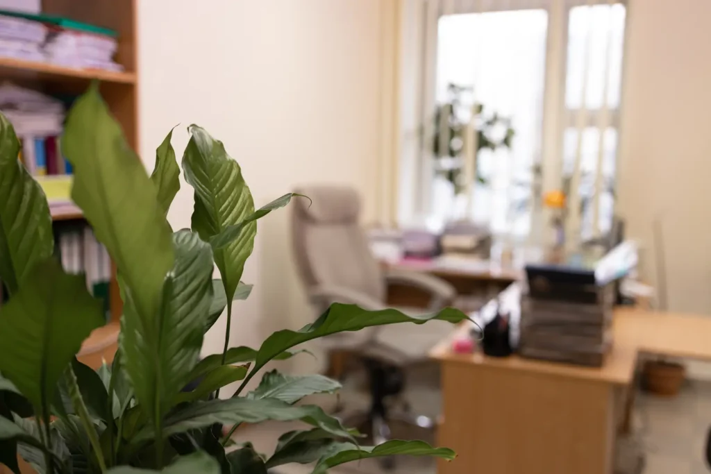 Psycholog • Terapeuta Holistyczny • Terapia Lęków, Depresji i Traum – M. Wilk